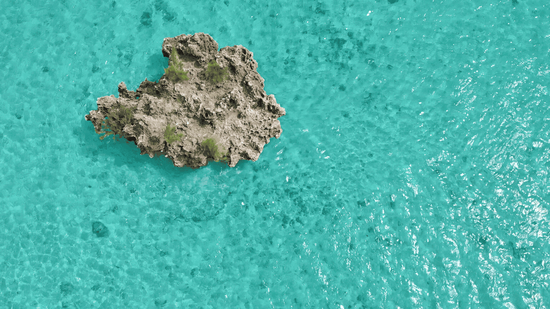 crystal rock in mauritius