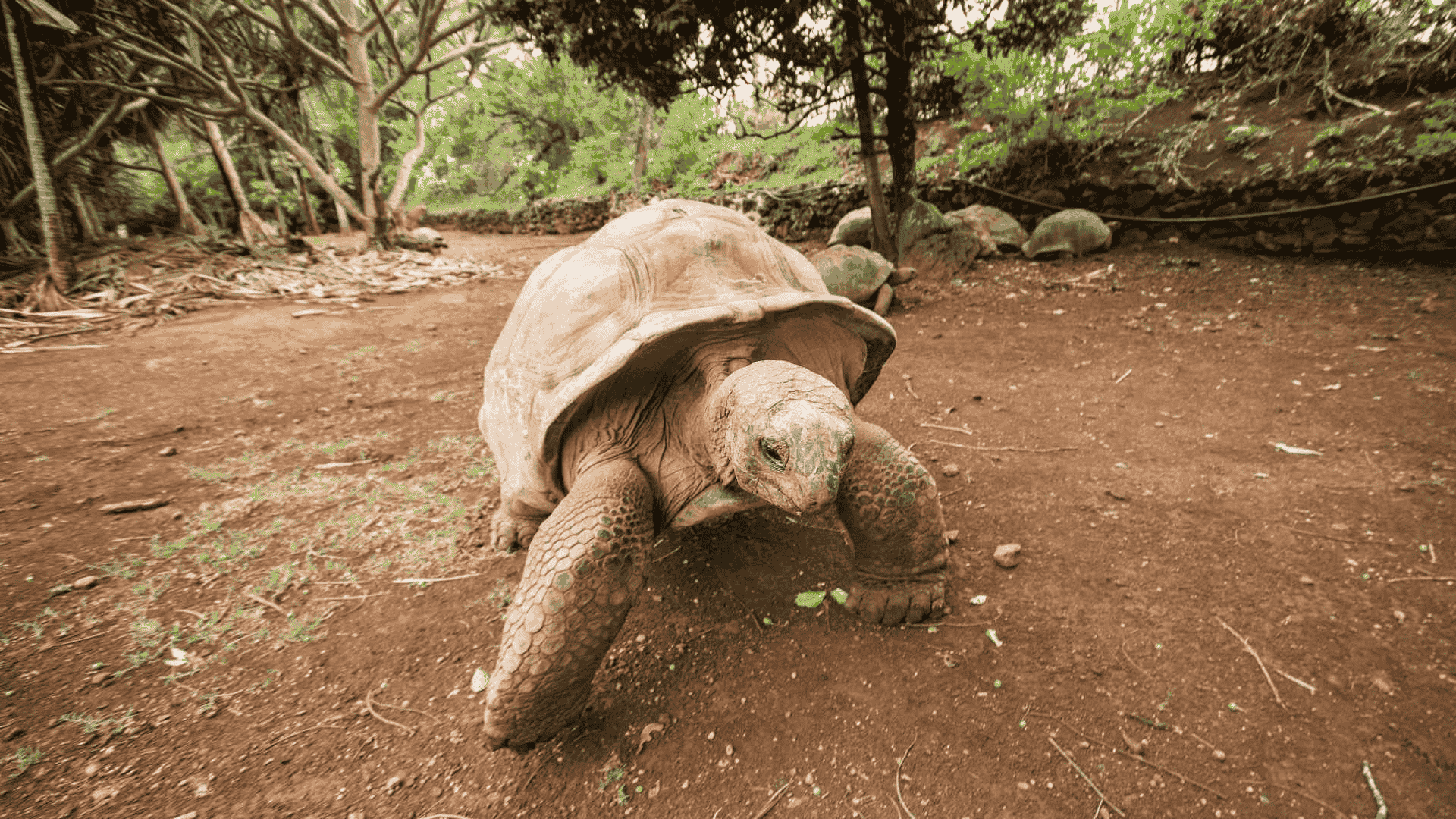 la vanille nature park