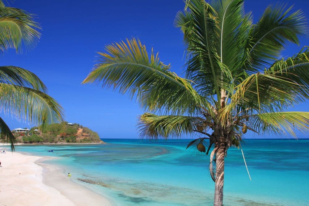 Day 2: Hermitage Bay (5nm)