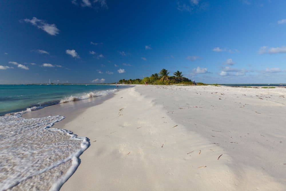Day 7: Barbuda (Coco Point) (10nm)