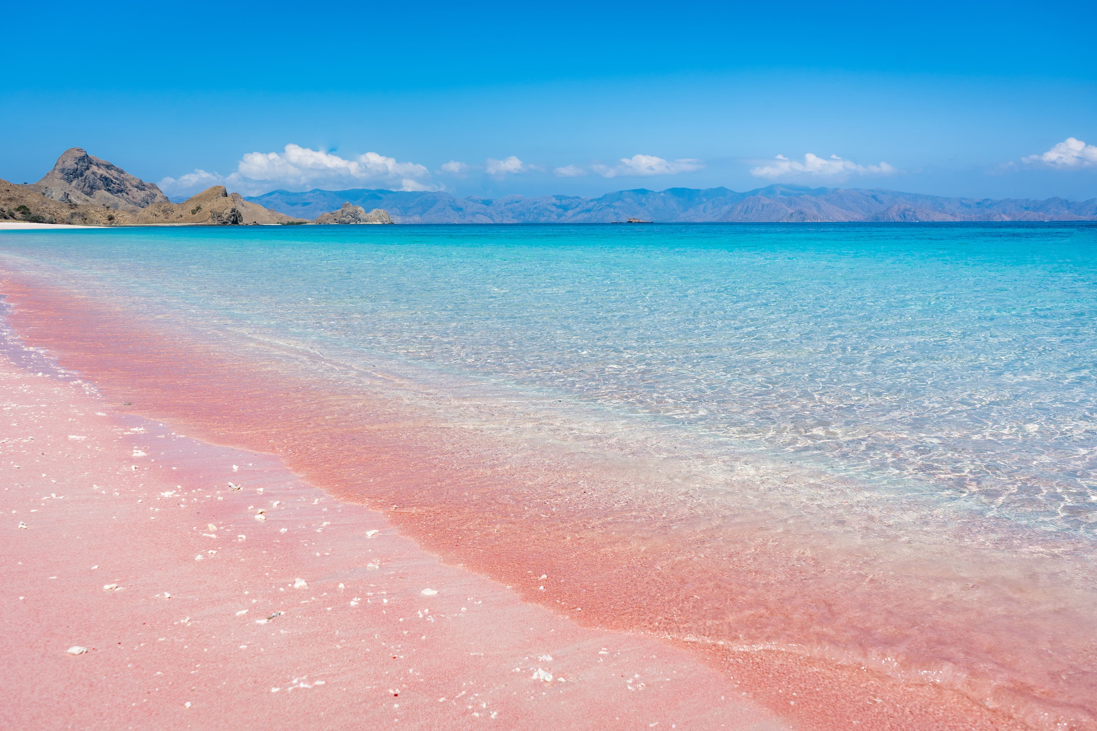 Pink Beach Lombok
