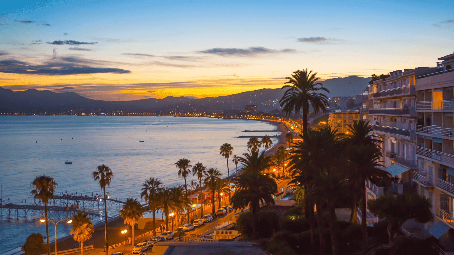 cannes park at sunset in france palm trees