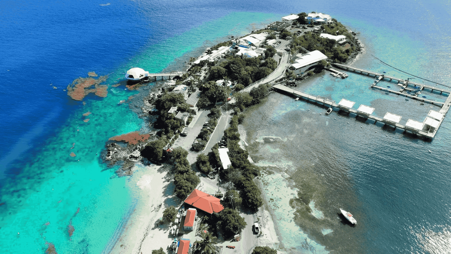 Coral World Ocean Park