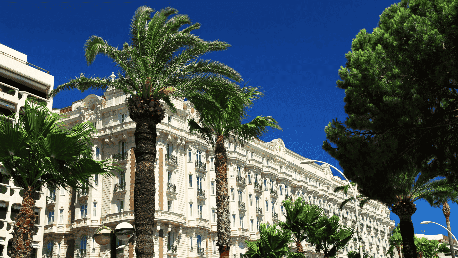 croisette promenade in cannes