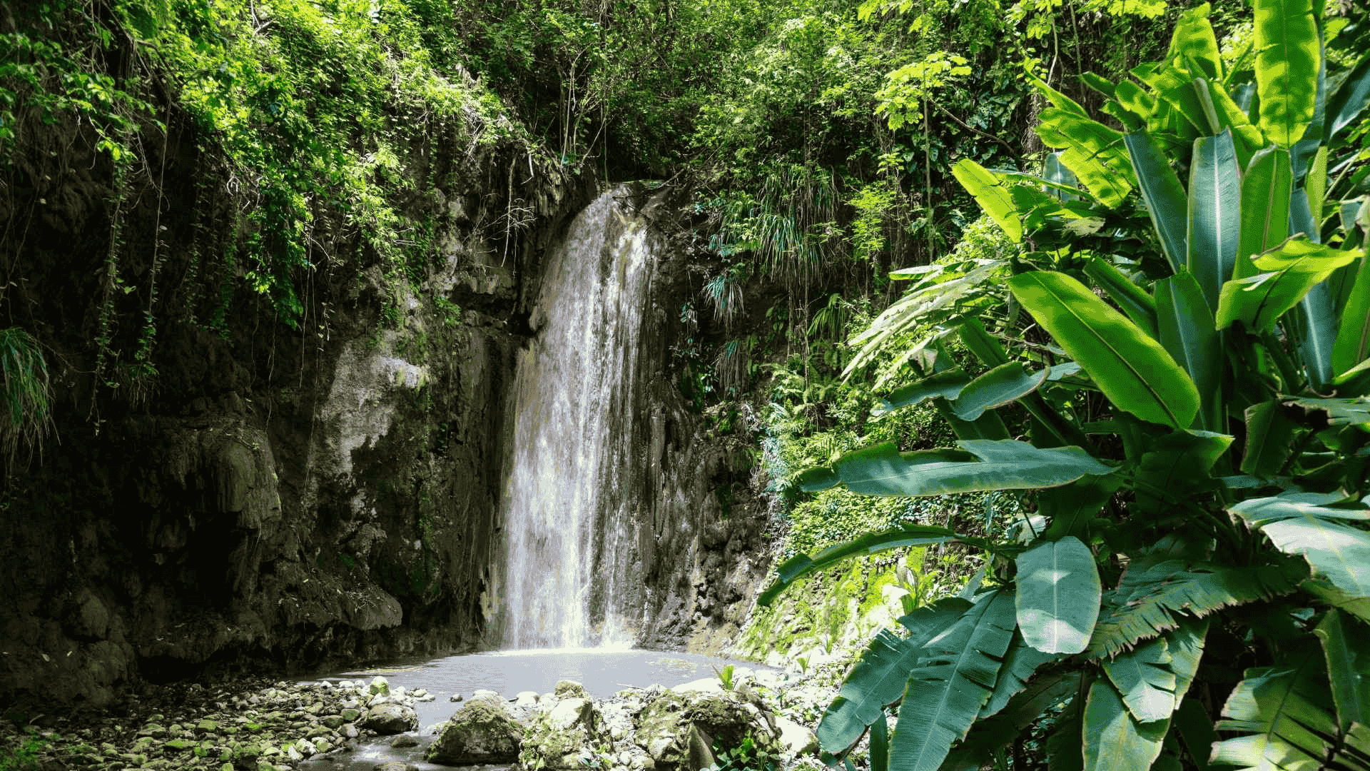 diamond waterfall in saint lucia