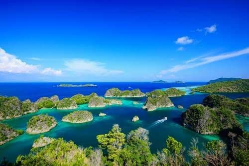 Day 3: North Raja Ampat