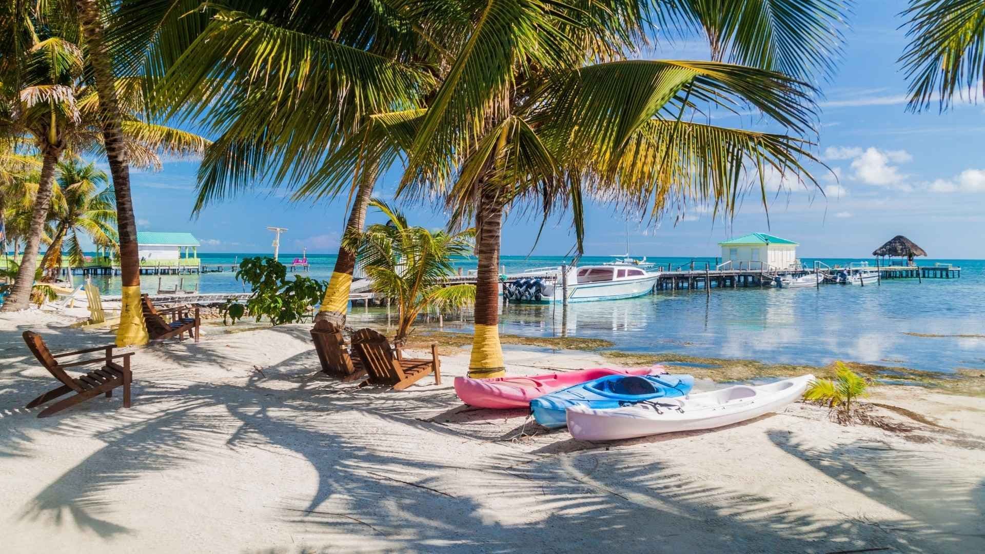 beach palm trees and kayaks caye caulker belize