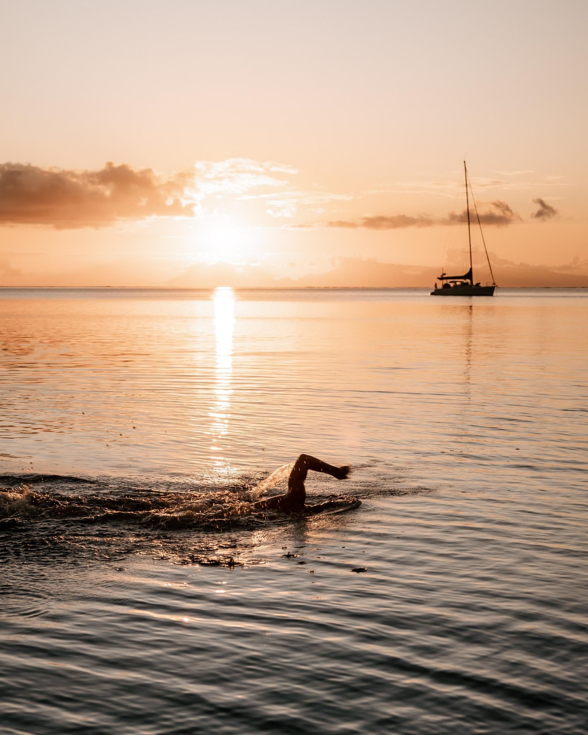 sunset swim catamaran french polynesia