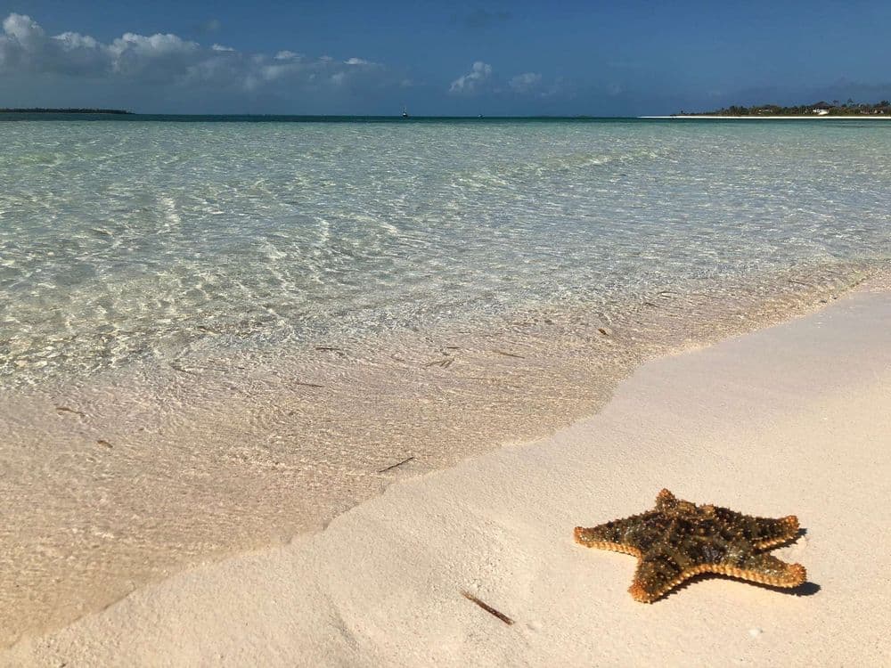 Day 1: Marsh Harbour to Great Guana Cay