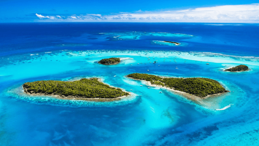 Tobago Cays Marine Park
